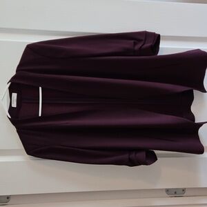 Babaton / Aritzia Blazer Size 6 Purple